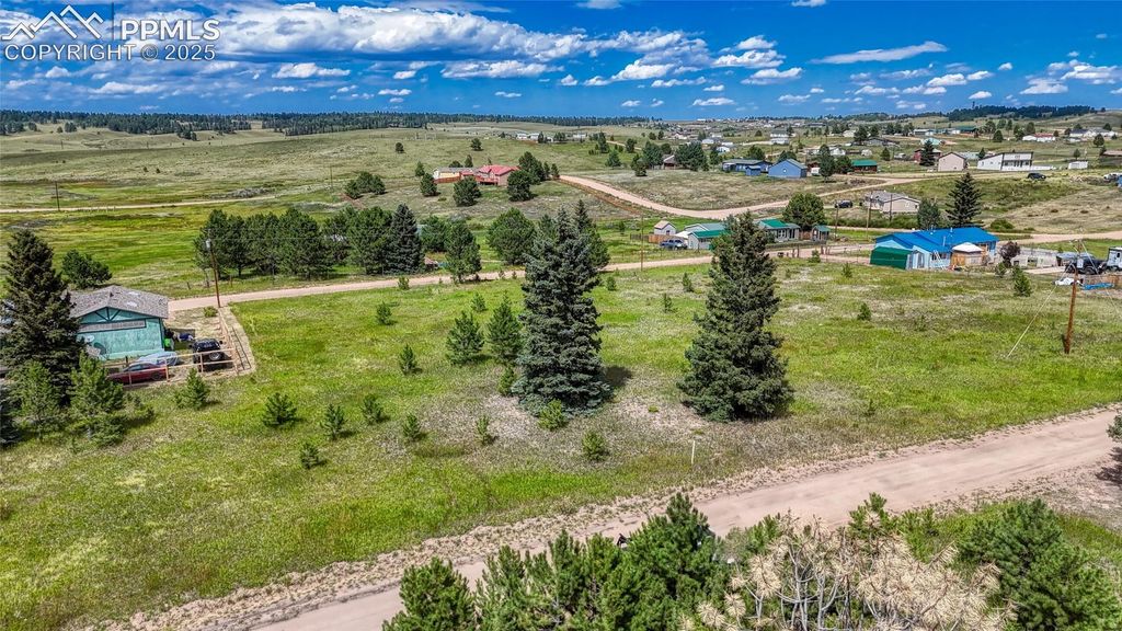 1129 Will Scarlet Drive, Divide, CO 80814 — photo 2