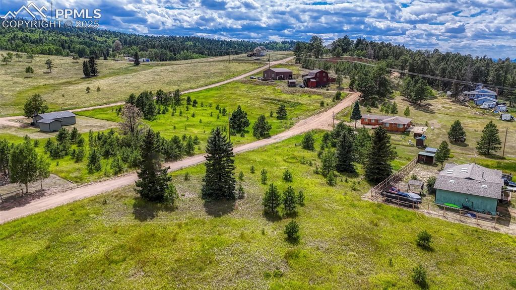 1129 Will Scarlet Drive, Divide, CO 80814 — photo 3