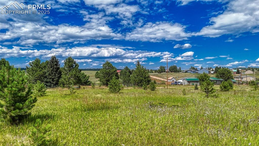 1129 Will Scarlet Drive, Divide, CO 80814 — photo 4