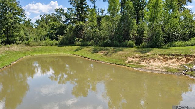 13775 Pinyon Dr, Denham Springs, LA 70726