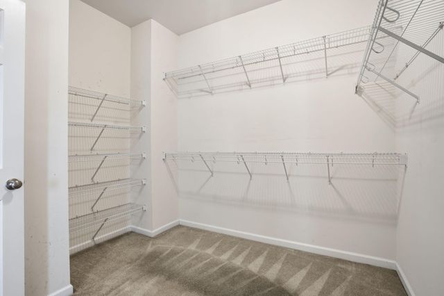 9672 Pebble Creek Boulevard, Summerville, SC 29485