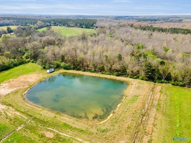 875 County Road 132, Town Creek, AL 35675