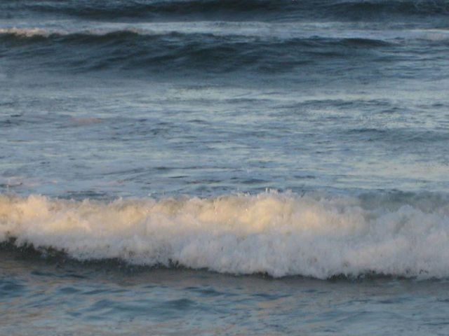 3212 NE 12th Street 203, Pompano Beach, FL 33062