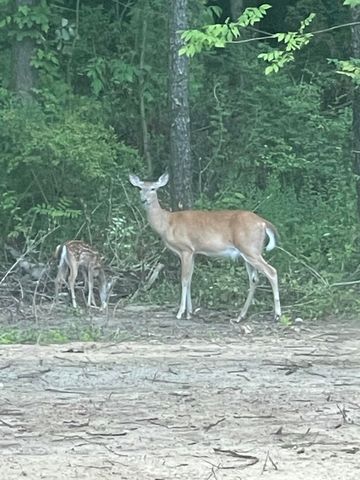 60171 M 43, Bangor, MI 49013