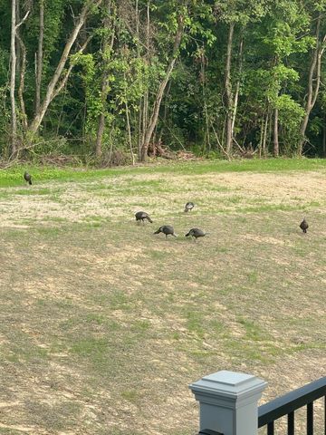 60171 M 43, Bangor, MI 49013