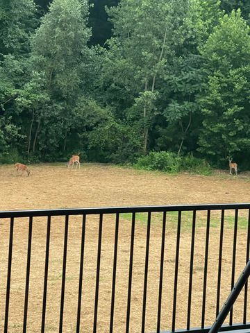 60171 M 43, Bangor, MI 49013