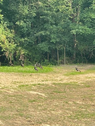 60171 M 43, Bangor, MI 49013