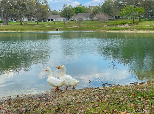 6293 W Glynborne Loop, Crystal River, FL 34429