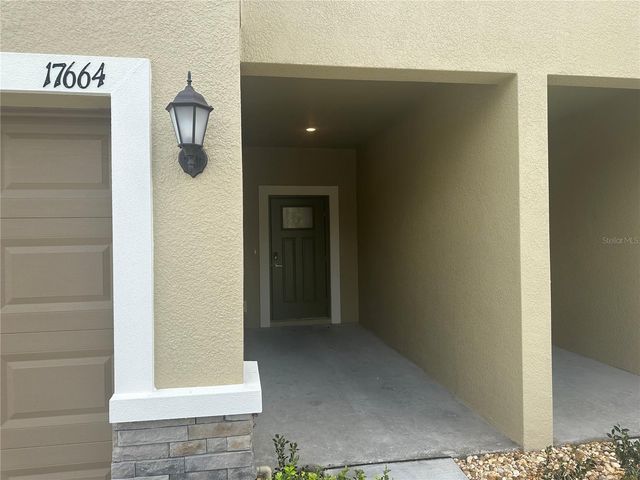 17664 NECTAR FLUME DRIVE, Land O Lakes, FL 34638