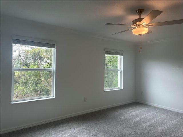17664 NECTAR FLUME DRIVE, Land O Lakes, FL 34638