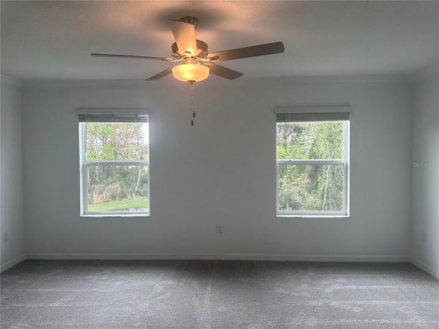 17664 NECTAR FLUME DRIVE, Land O Lakes, FL 34638
