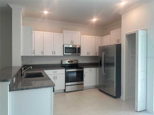 17664 NECTAR FLUME DRIVE, Land O Lakes, FL 34638