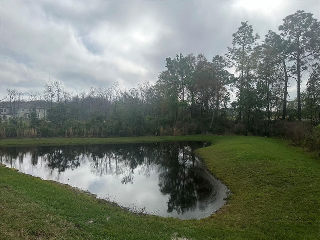 17664 NECTAR FLUME DRIVE, Land O Lakes, FL 34638