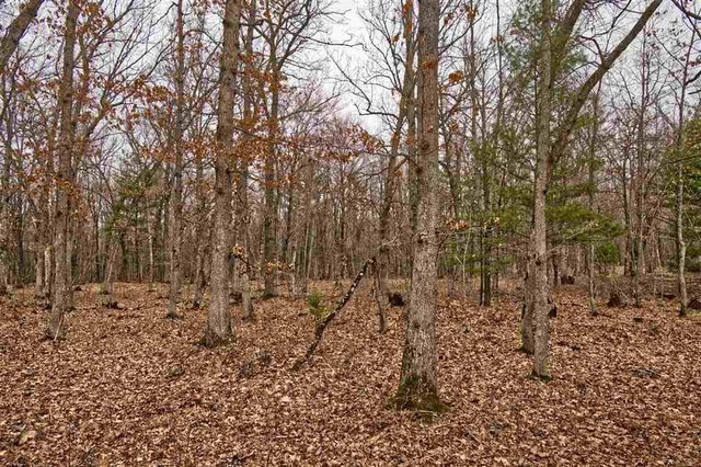 E9976 Trout Road, Wisconsin Dells, WI 53965