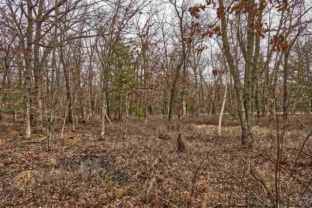 E9976 Trout Road, Wisconsin Dells, WI 53965