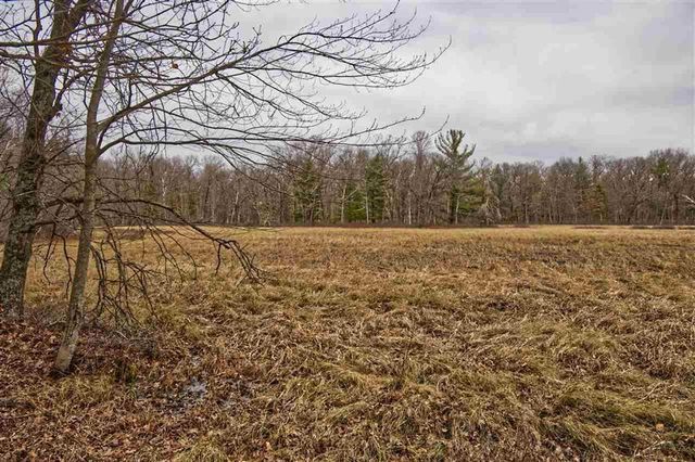 E9976 Trout Road, Wisconsin Dells, WI 53965