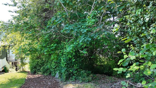 0 S Westview Road, Mount Vernon, WA 98274