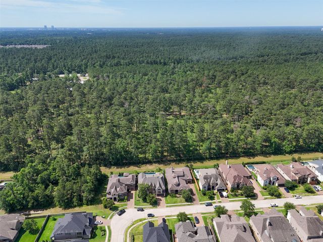 109 Evergreen Oak Drive, Conroe, TX 77384