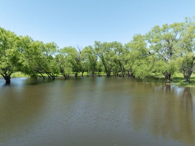 1355 N Houston Street, Lorena, TX 76655
