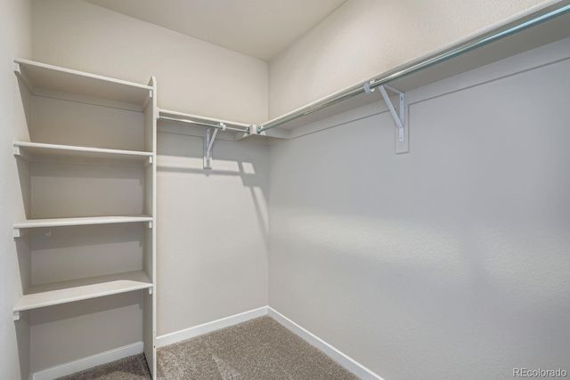 3860 W 82nd Lane, Westminster, CO 80031