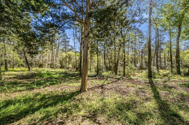 1337 Green Briar Drive, Huntsville, TX 77340