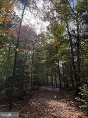 TURKEY TRAIL, Louisa, VA 23093