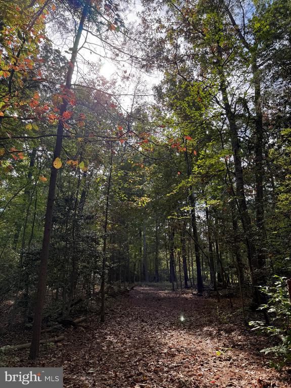 TURKEY TRAIL, Louisa, VA 23093