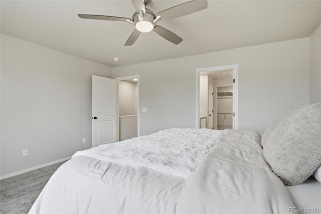 3642 Ronald Reagan Avenue, Wellington, CO 80549