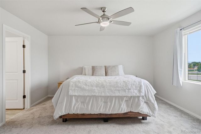 3642 Ronald Reagan Avenue, Wellington, CO 80549