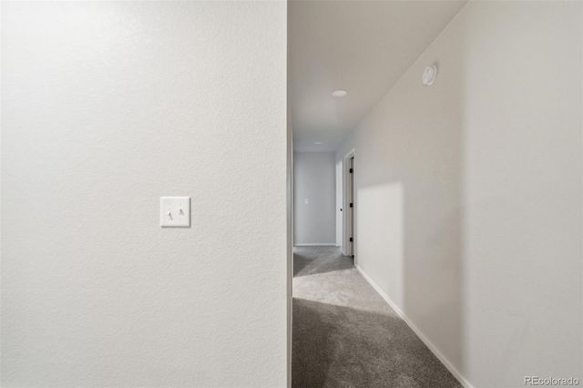 3642 Ronald Reagan Avenue, Wellington, CO 80549