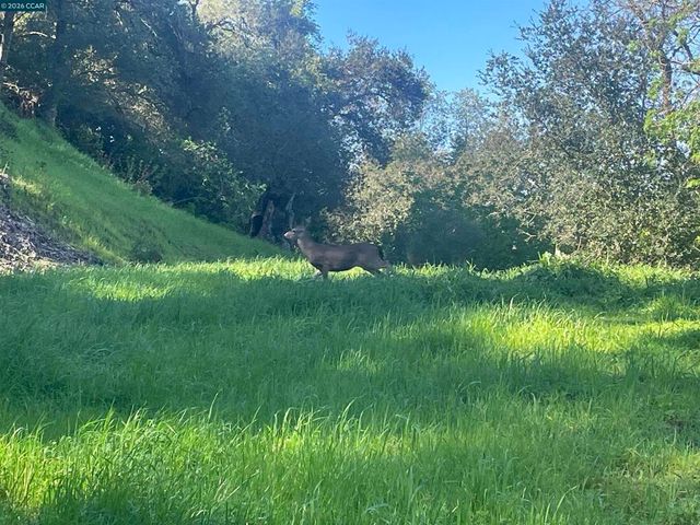 2965 2965 Rohrer Dr, Lafayette, CA 94595