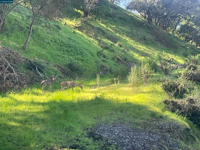 2965 2965 Rohrer Dr, Lafayette, CA 94595