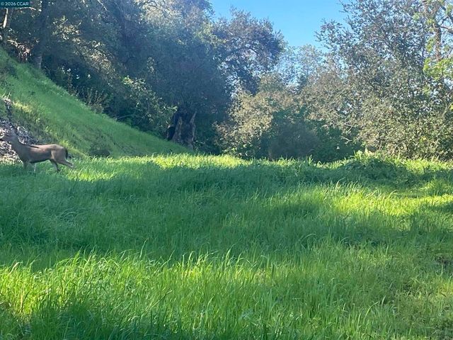 2965 2965 Rohrer Dr, Lafayette, CA 94595