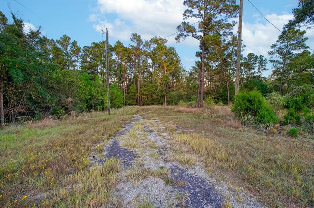 184 Willow Drive, Onalaska, TX 77360