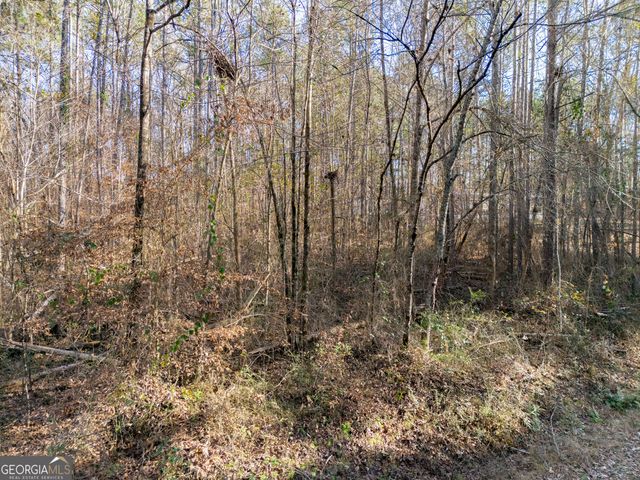 0 Broad Street, Tallapoosa, GA 30176