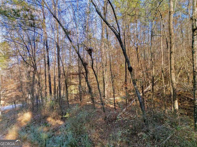 0 Broad Street, Tallapoosa, GA 30176