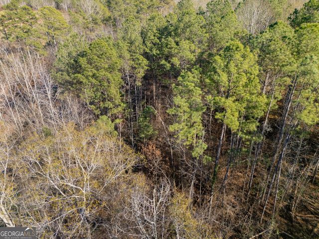 0 Broad Street, Tallapoosa, GA 30176