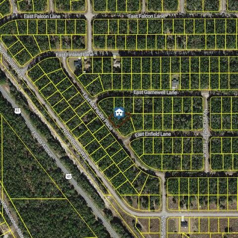 198 E MCFADDIN PLACE, Dunnellon, FL 34434