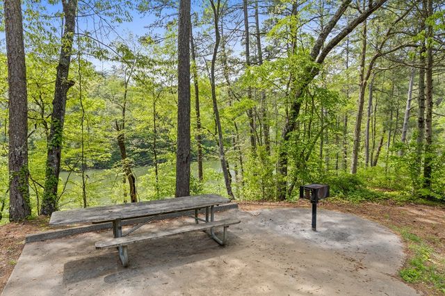 Lot 39 Jakes Landing Way, Ellijay, GA 30540