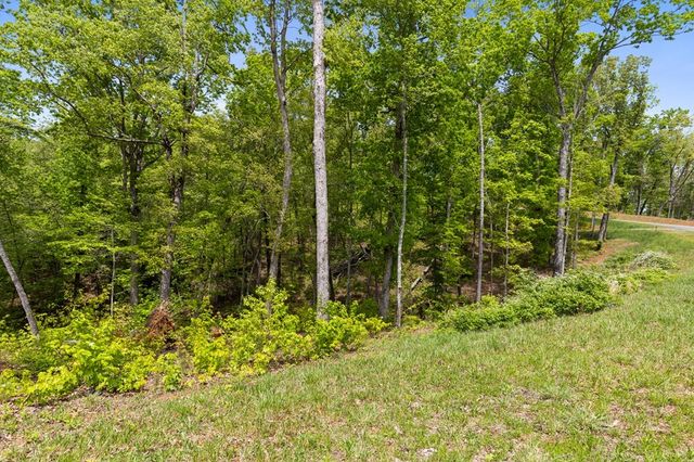 Lot 39 Jakes Landing Way, Ellijay, GA 30540