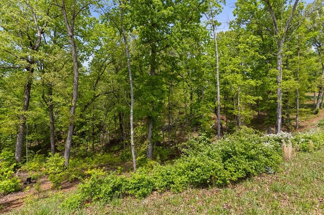 Lot 39 Jakes Landing Way, Ellijay, GA 30540