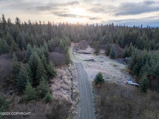 41176 Char Court, Homer, AK 99603