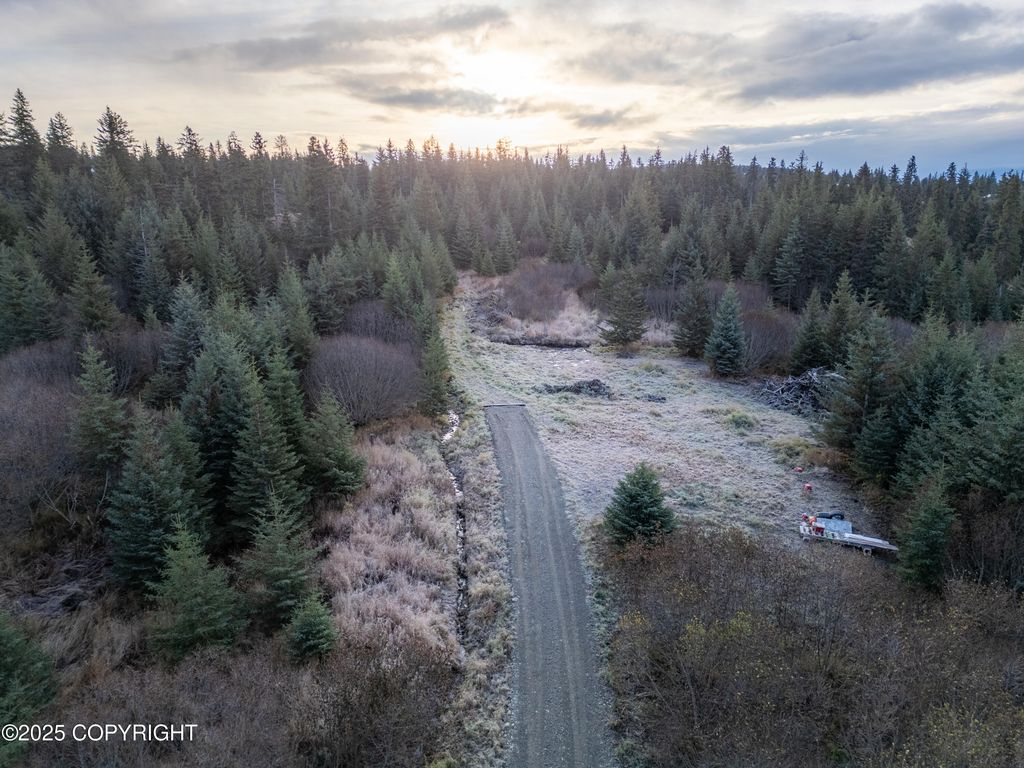 41176 Char Court, Homer, AK 99603