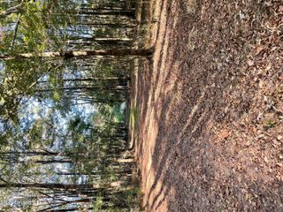No E Lake Drive, Clinton, MS 39056