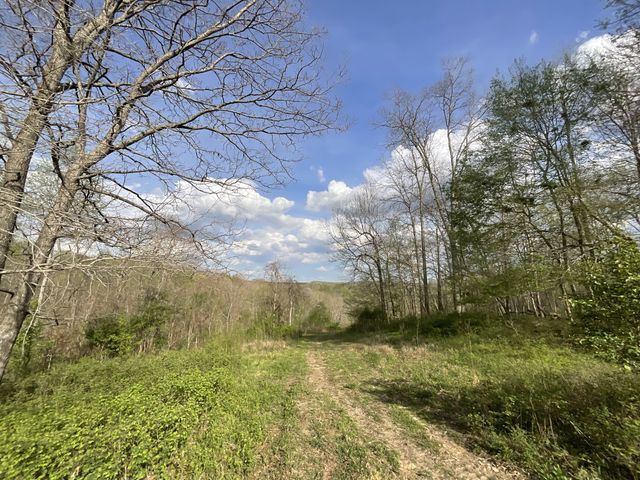 2 Bud Parker Lane, Erin, TN 37061