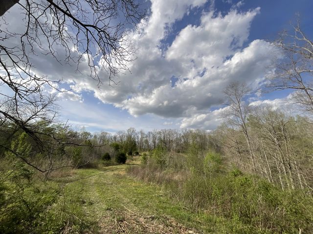 2 Bud Parker Lane, Erin, TN 37061