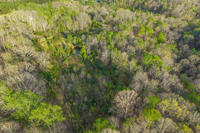 2 Bud Parker Lane, Erin, TN 37061