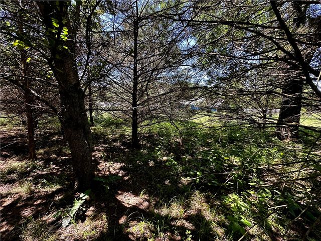 5 Bandy Drive, Holiday Island, AR 72631