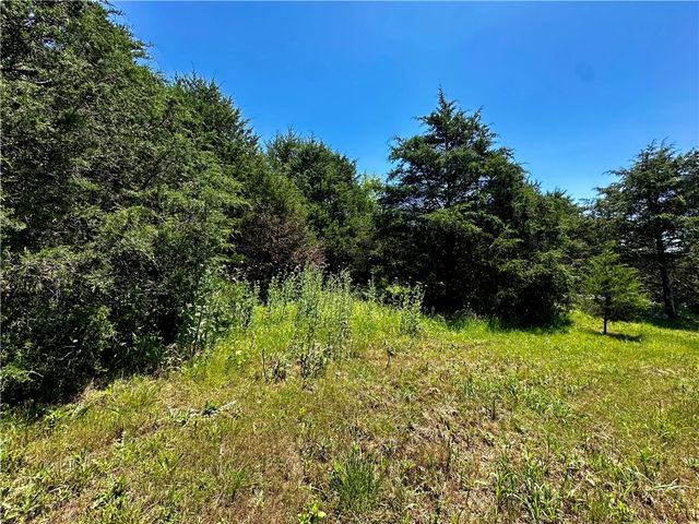 5 Bandy Drive, Holiday Island, AR 72631