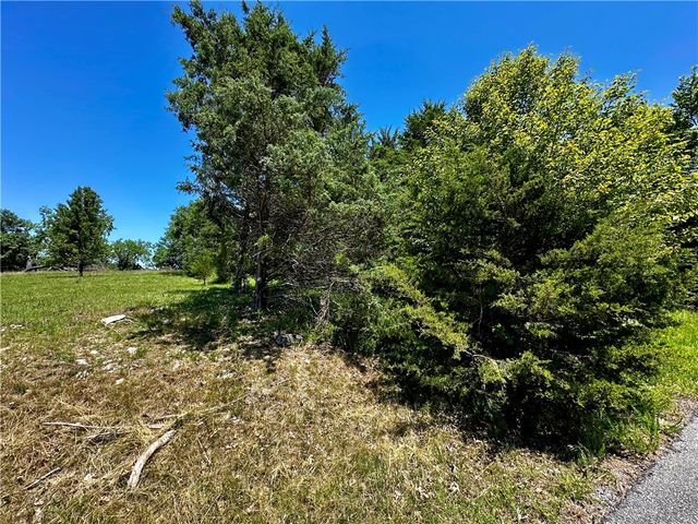 5 Bandy Drive, Holiday Island, AR 72631